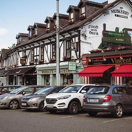 Muskerry Arms Bar And B&B Blarney Dış mekan fotoğraf